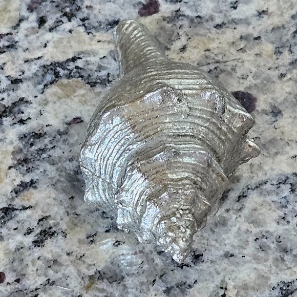 REGINA ANDREW SILVER CONCH SHELL COASTAL BEACH VASE FILLER HOME TABLE DECOR - Picture 4 of 7